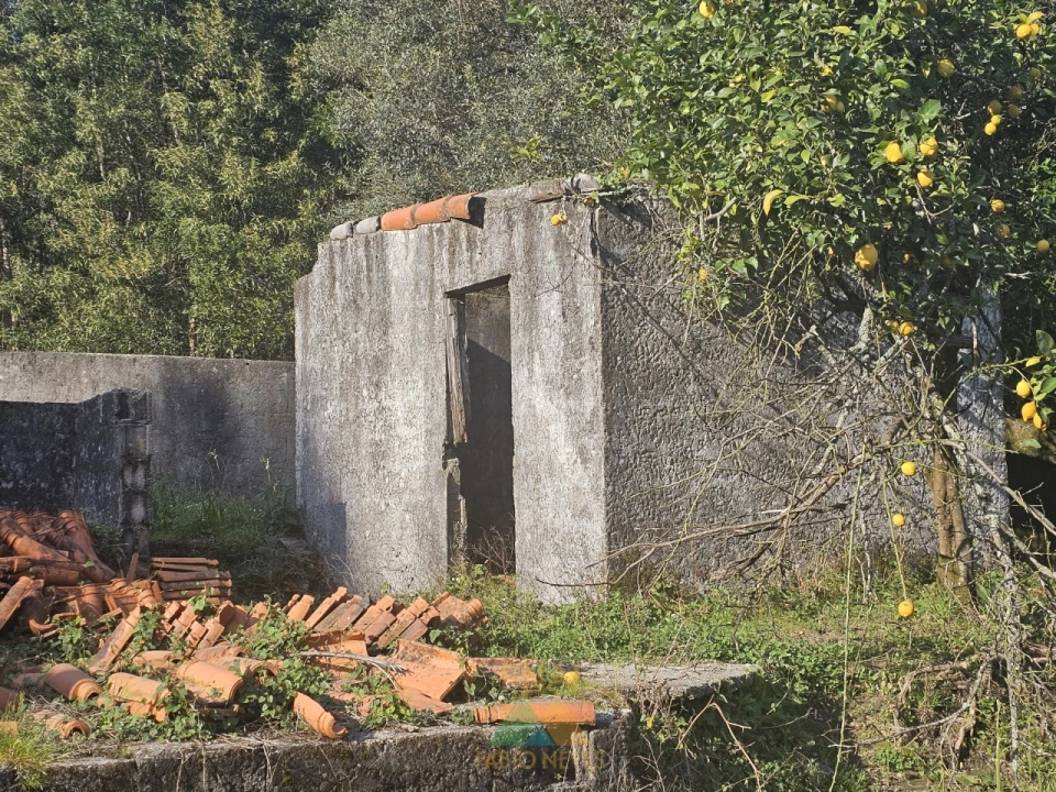 Moradia T4 para Venda em Labruja Foto 27