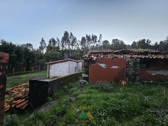 Moradia T4 para Venda em Labruja Foto 37