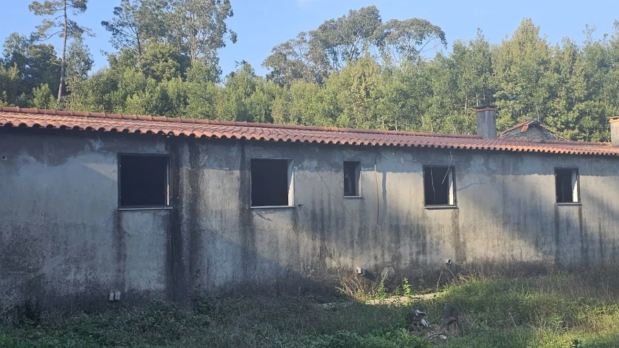 Moradia T4 para Venda em Labruja