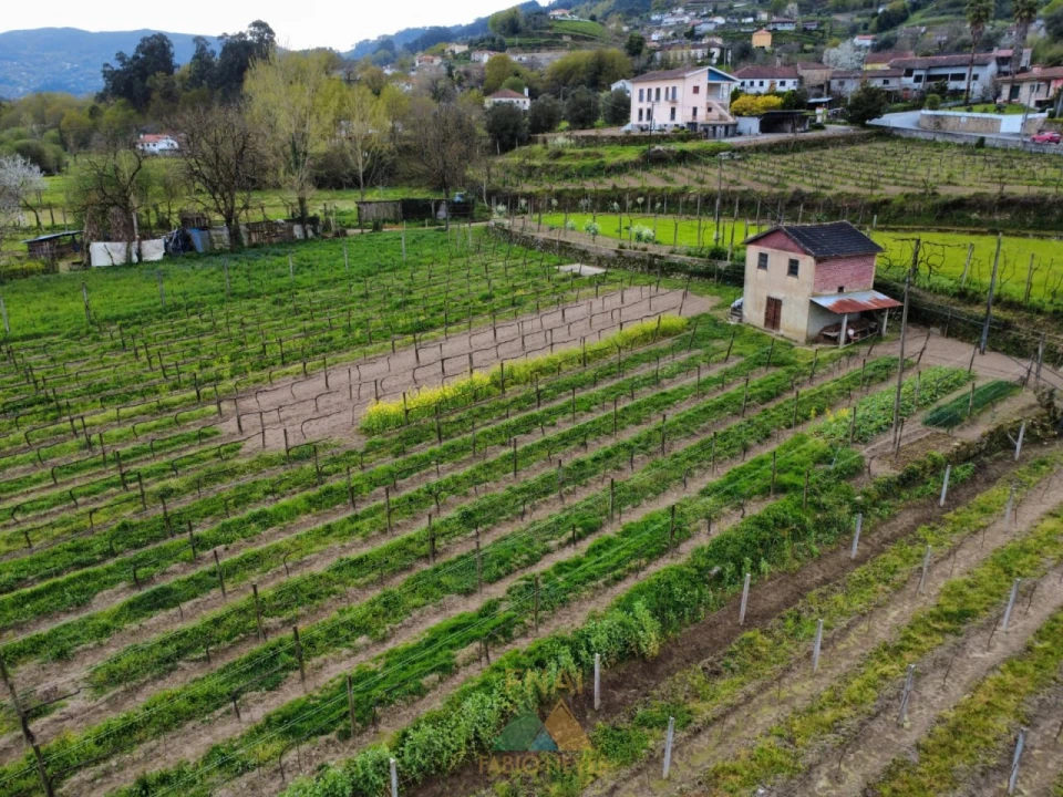 Terreno para Venda em Nogueira Foto 1