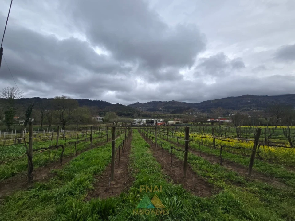 Terreno para Venda em Nogueira Foto 3