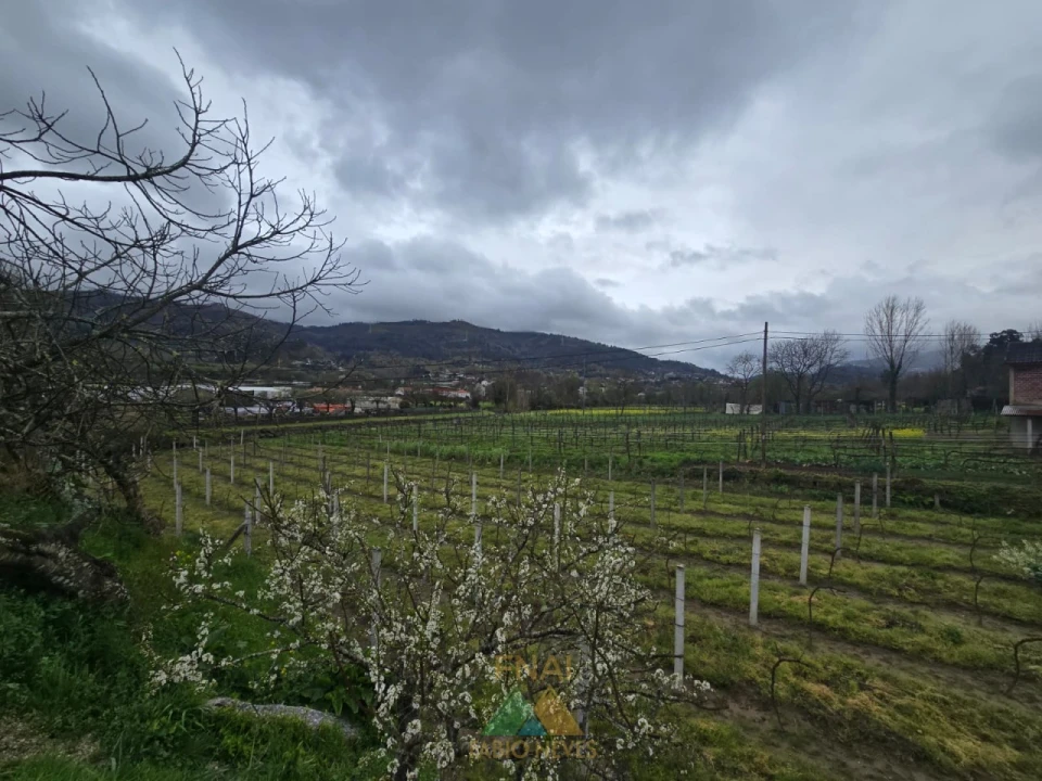 Terreno para Venda em Nogueira Foto 4