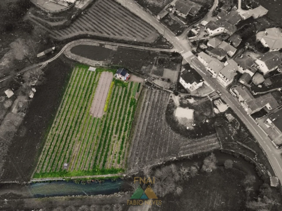 Terreno para Venda em Nogueira Foto 2