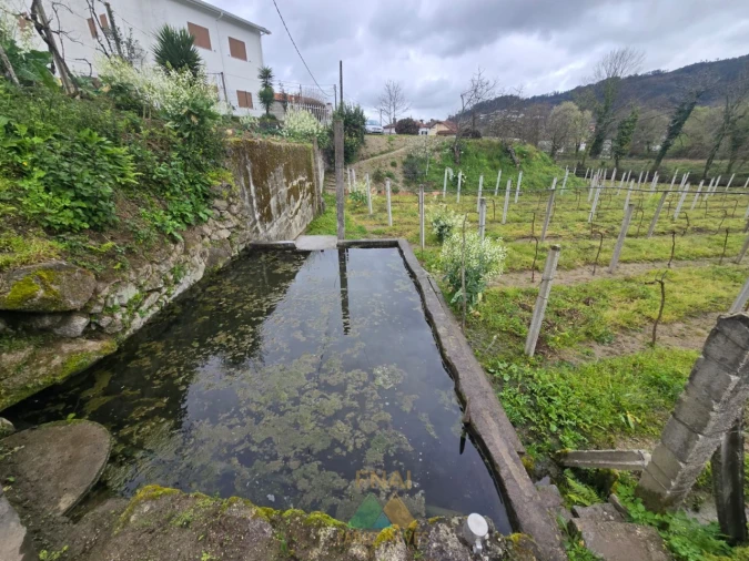 Terreno para Venda em Nogueira Foto 7