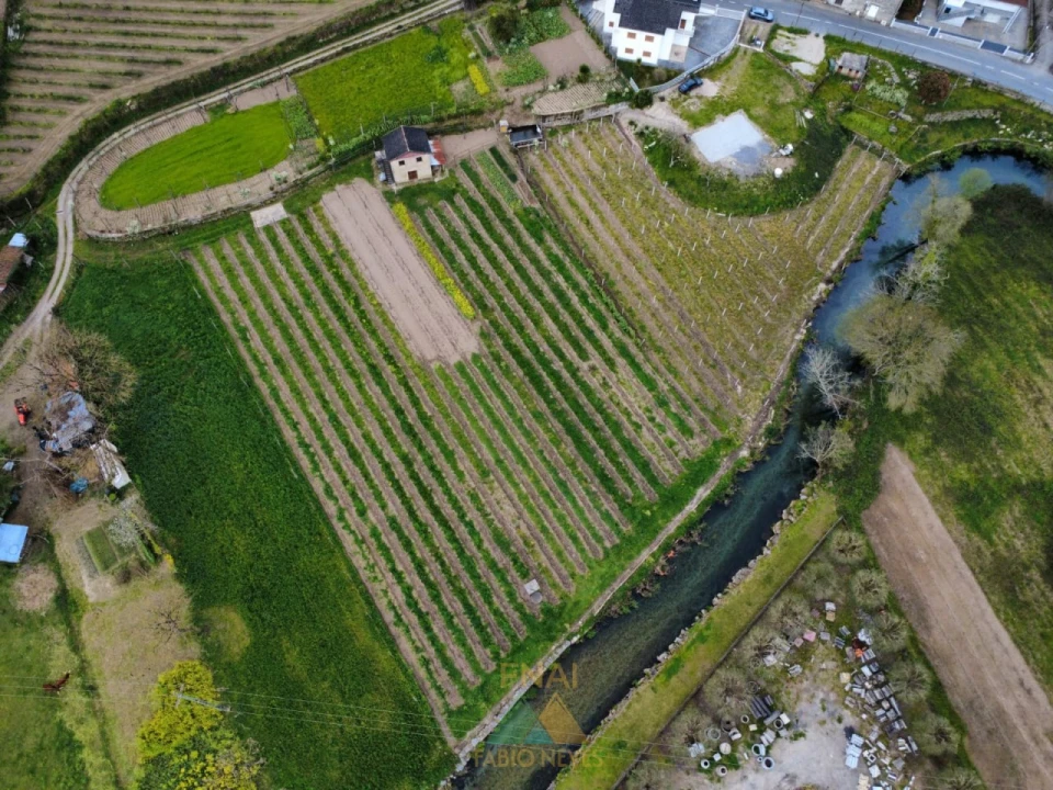Terreno para Venda em Nogueira Foto 3