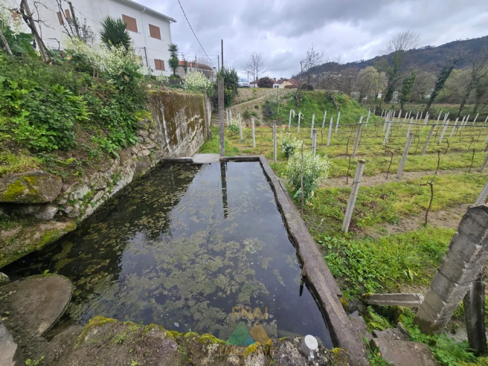 Terreno para Venda em Nogueira Foto 6