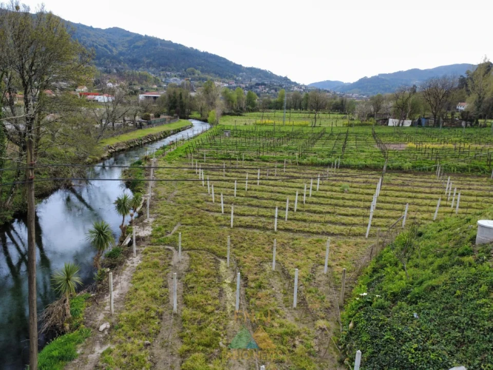 Terreno para Venda em Nogueira Foto 10