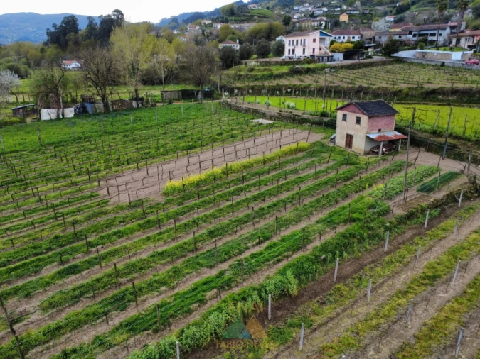 Terreno para Venda em Nogueira Foto 4