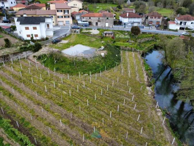 Terreno para Venda em Nogueira Foto 5