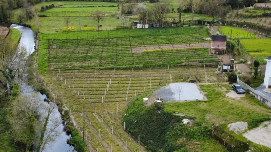 Terreno para Venda em Nogueira