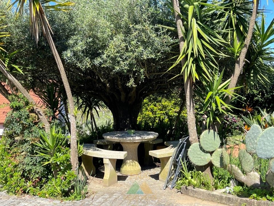 Moradia T3 para Venda em Rebordões (Santa Maria) Foto 78