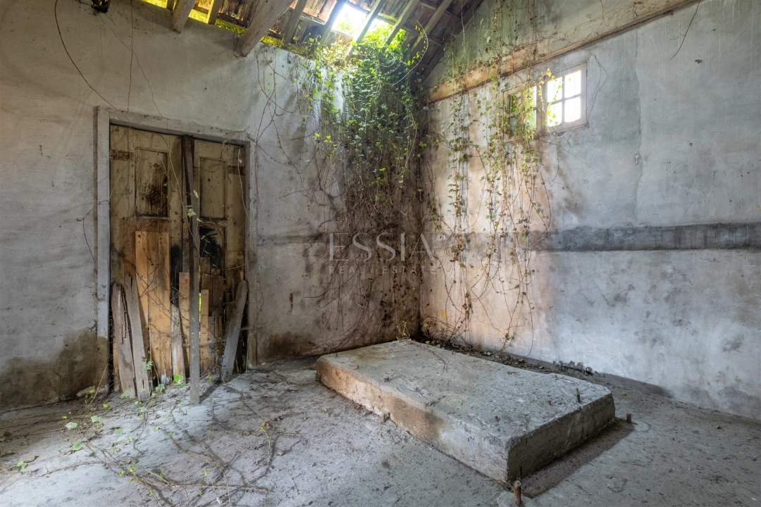 Terreno para Venda em Rio Tinto Foto 23