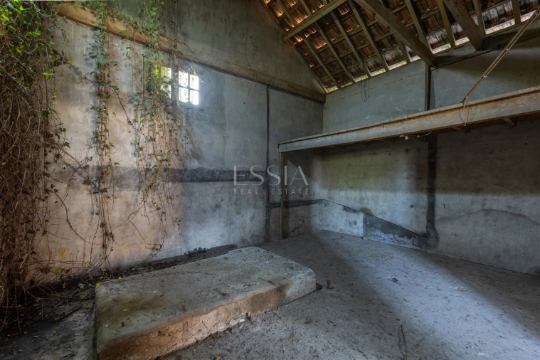 Terreno para Venda em Rio Tinto Foto 22