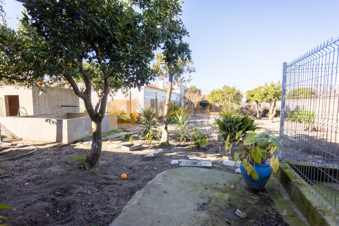 Moradia T3 para Venda em Salvaterra de Magos e Foros de Salvaterra Foto 23