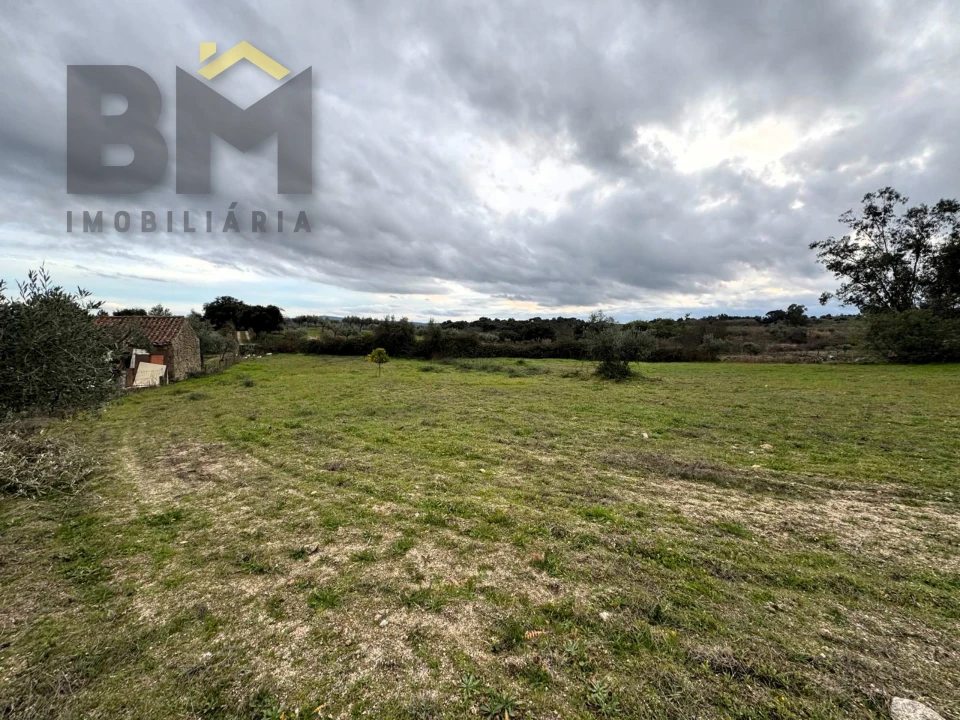 Quinta T0 para Venda em São Miguel de Acha Foto 13