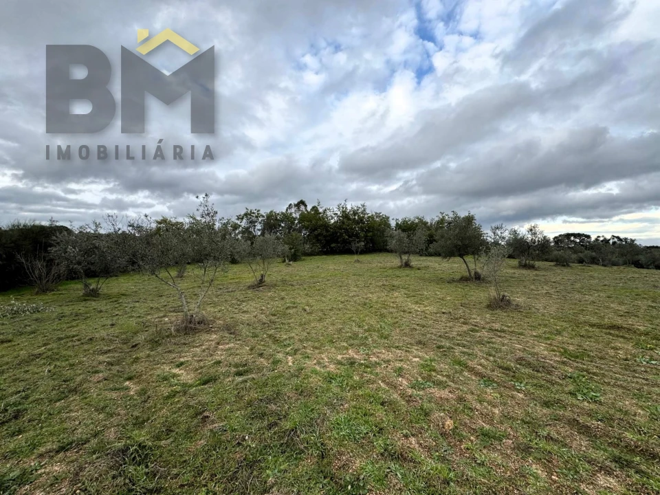 Quinta T0 para Venda em São Miguel de Acha Foto 16