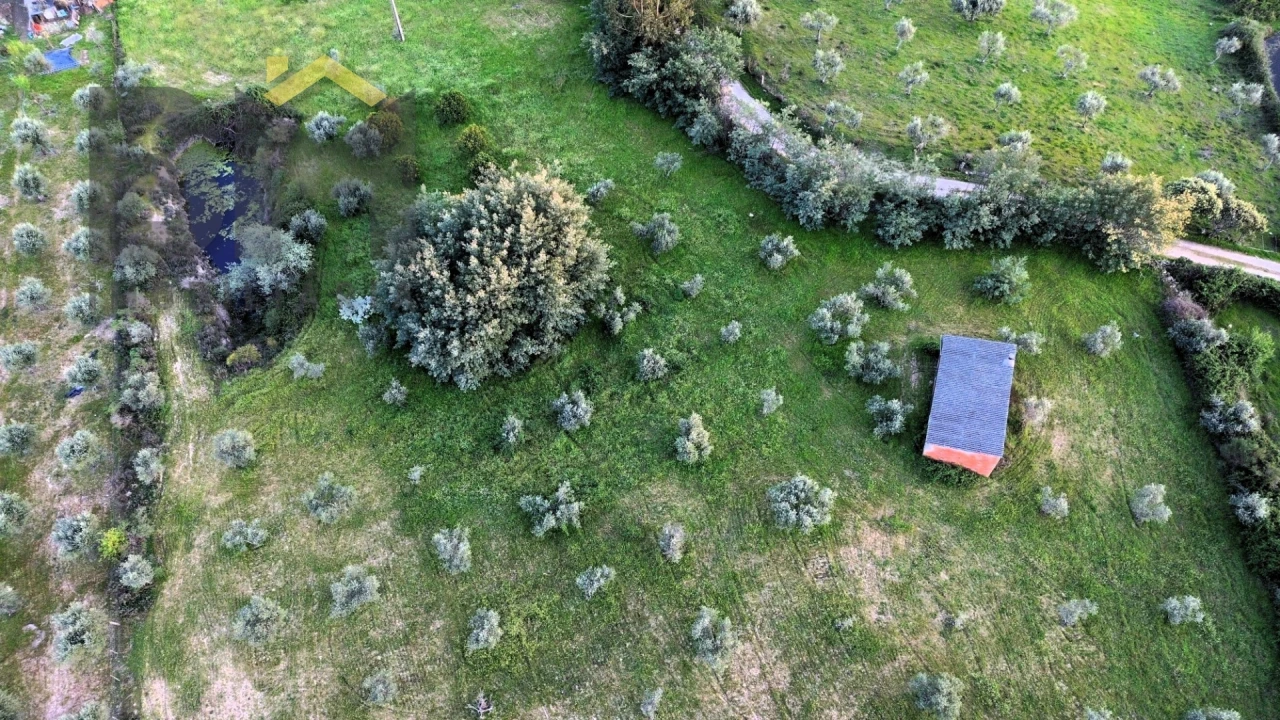 Quinta T0 para Venda em São Miguel de Acha Foto 3