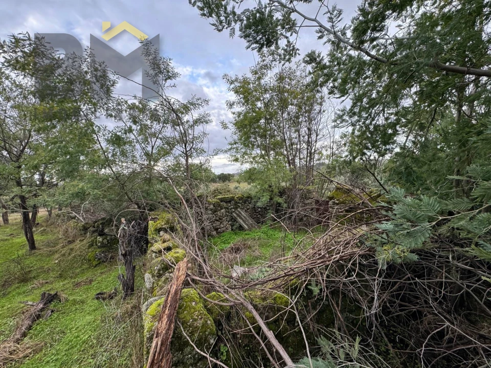 Quinta T0 para Venda em São Miguel de Acha Foto 7