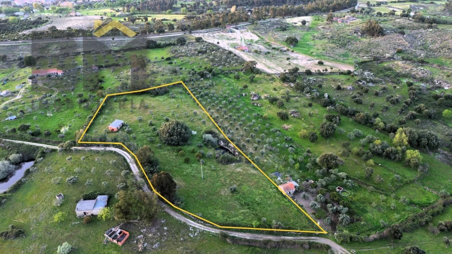 Quinta T0 para Venda em São Miguel de Acha Foto 17