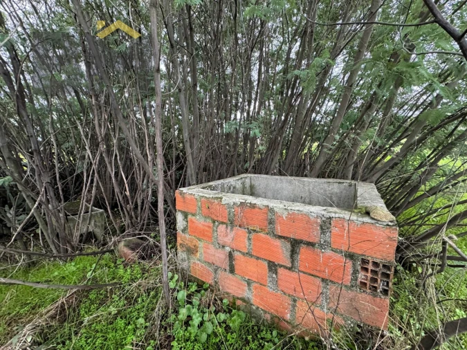 Quinta T0 para Venda em São Miguel de Acha Foto 10