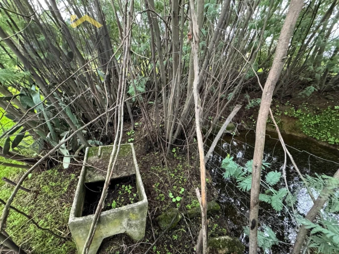 Quinta T0 para Venda em São Miguel de Acha Foto 11