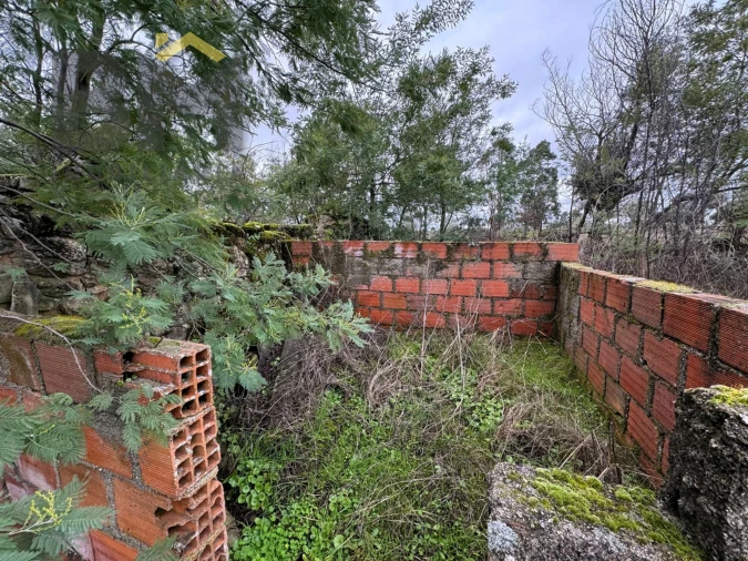 Quinta T0 para Venda em São Miguel de Acha Foto 6