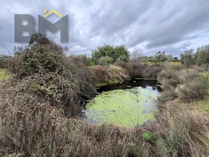 Quinta T0 para Venda em São Miguel de Acha Foto 8