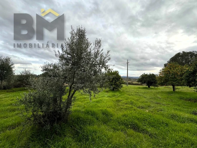 Quinta T0 para Venda em São Miguel de Acha Foto 15