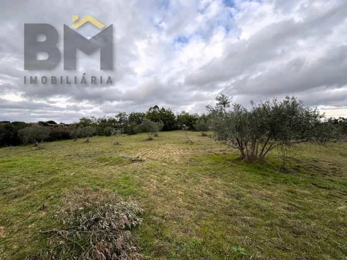 Quinta T0 para Venda em São Miguel de Acha Foto 12