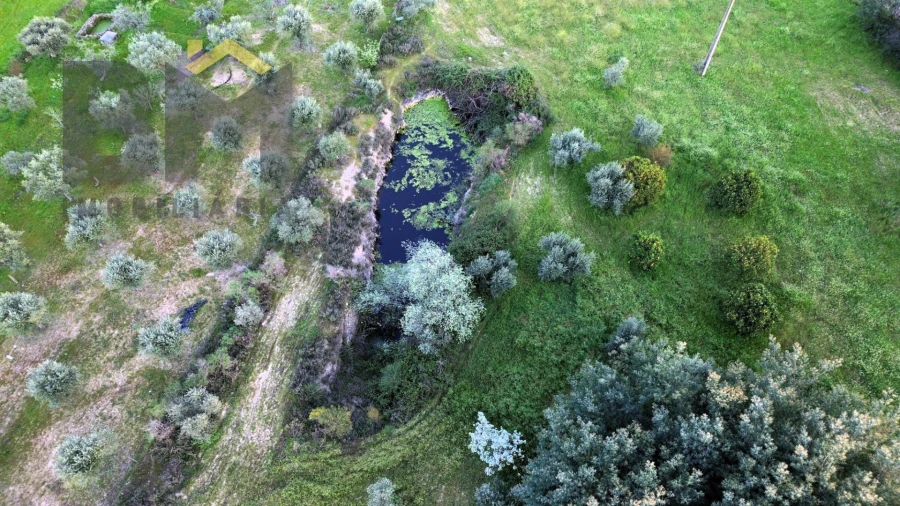 Quinta T0 para Venda em São Miguel de Acha Foto 9