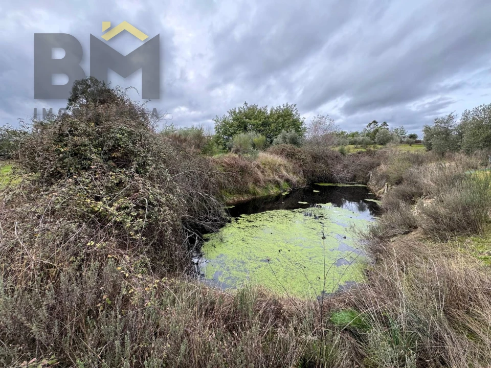 Quinta T0 para Venda em São Miguel de Acha Foto 8