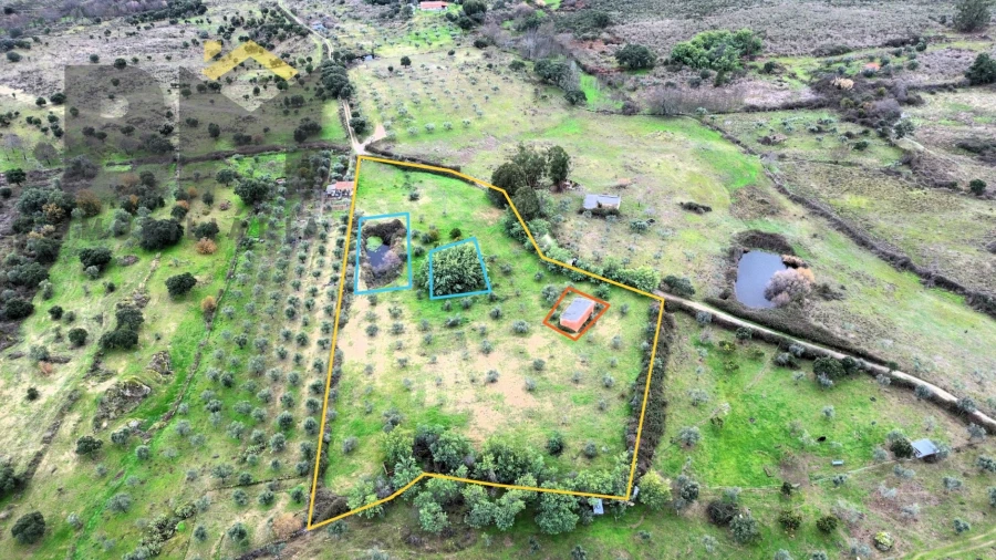 Quinta T0 para Venda em São Miguel de Acha