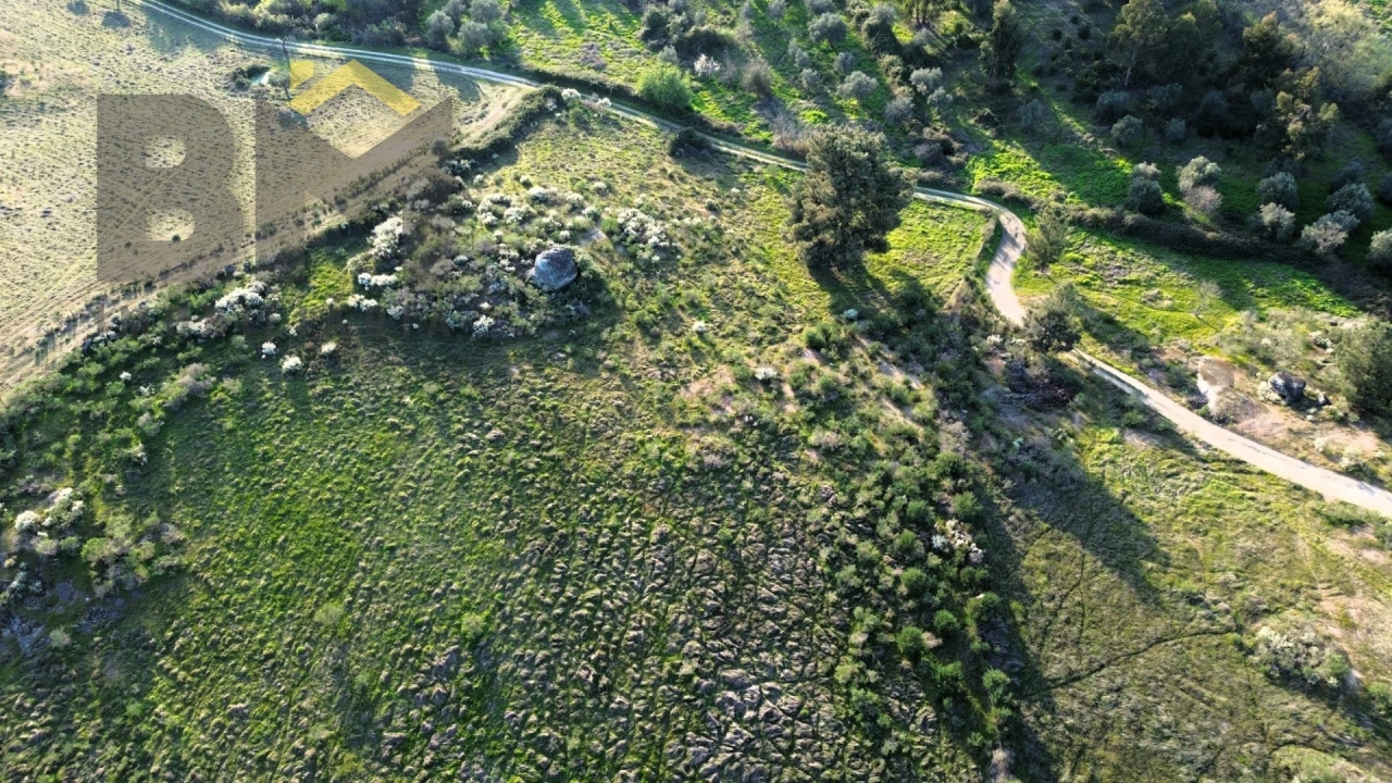 Terreno Agricola ou Rústico para Venda em São Miguel de Acha Foto 8