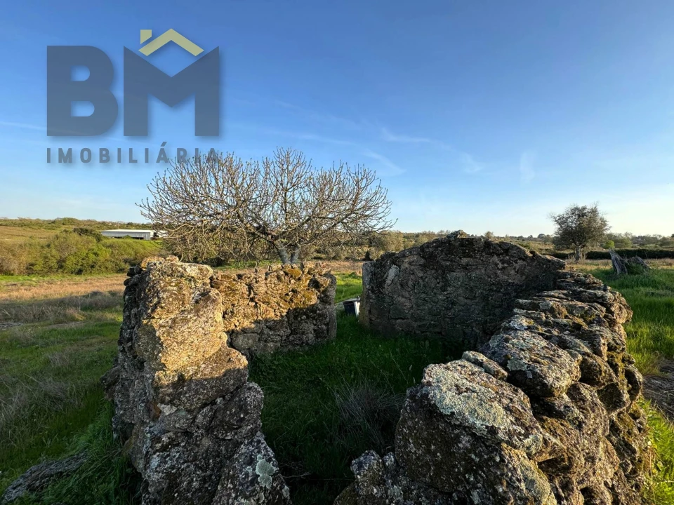 Terreno Agricola ou Rústico para Venda em São Miguel de Acha Foto 15