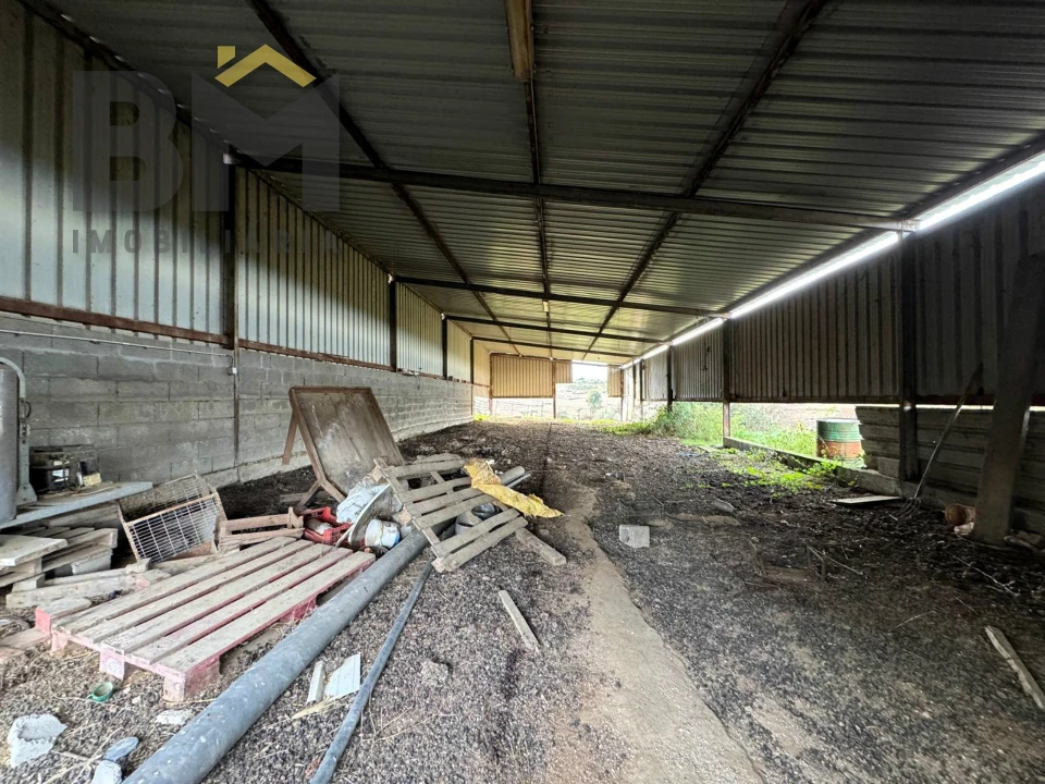 Terreno Agricola ou Rústico para Venda em São Miguel de Acha Foto 11