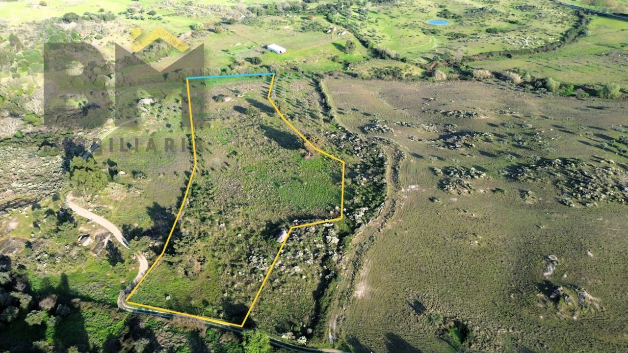 Terreno Agricola ou Rústico para Venda em São Miguel de Acha Foto 3
