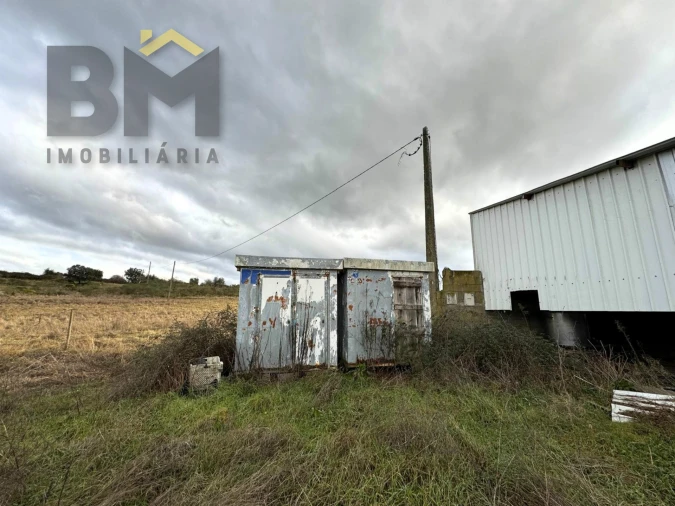 Terreno Agricola ou Rústico para Venda em São Miguel de Acha Foto 9