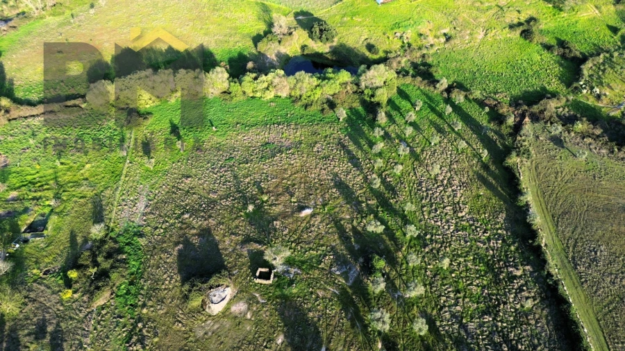 Terreno Agricola ou Rústico para Venda em São Miguel de Acha Foto 6