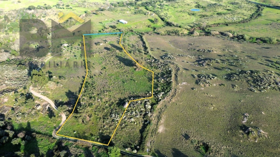 Terreno Agricola ou Rústico para Venda em São Miguel de Acha Foto 3