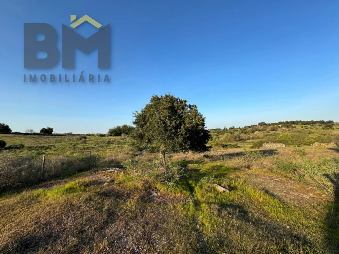 Terreno Agricola ou Rústico para Venda em São Miguel de Acha Foto 13