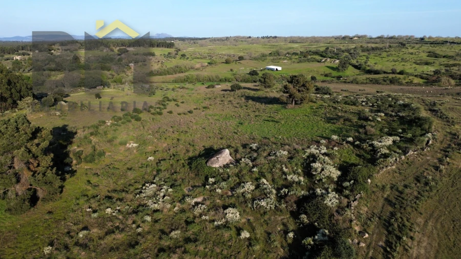 Terreno Agricola ou Rústico para Venda em São Miguel de Acha Foto 4