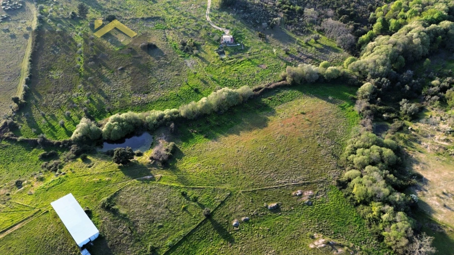 Terreno Agricola ou Rústico para Venda em São Miguel de Acha Foto 7