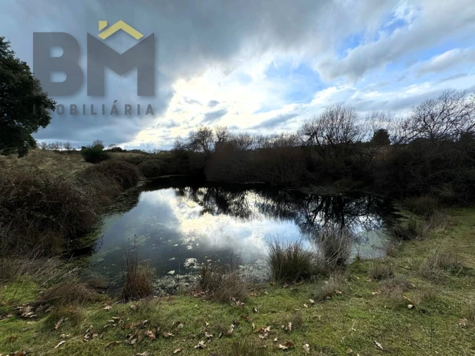 Terreno Agricola ou Rústico para Venda em São Miguel de Acha Foto 12