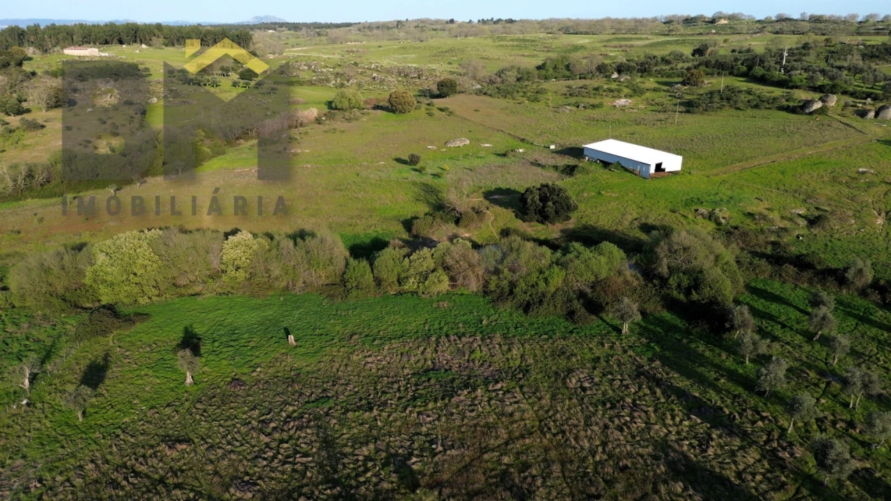 Terreno Agricola ou Rústico para Venda em São Miguel de Acha Foto 5