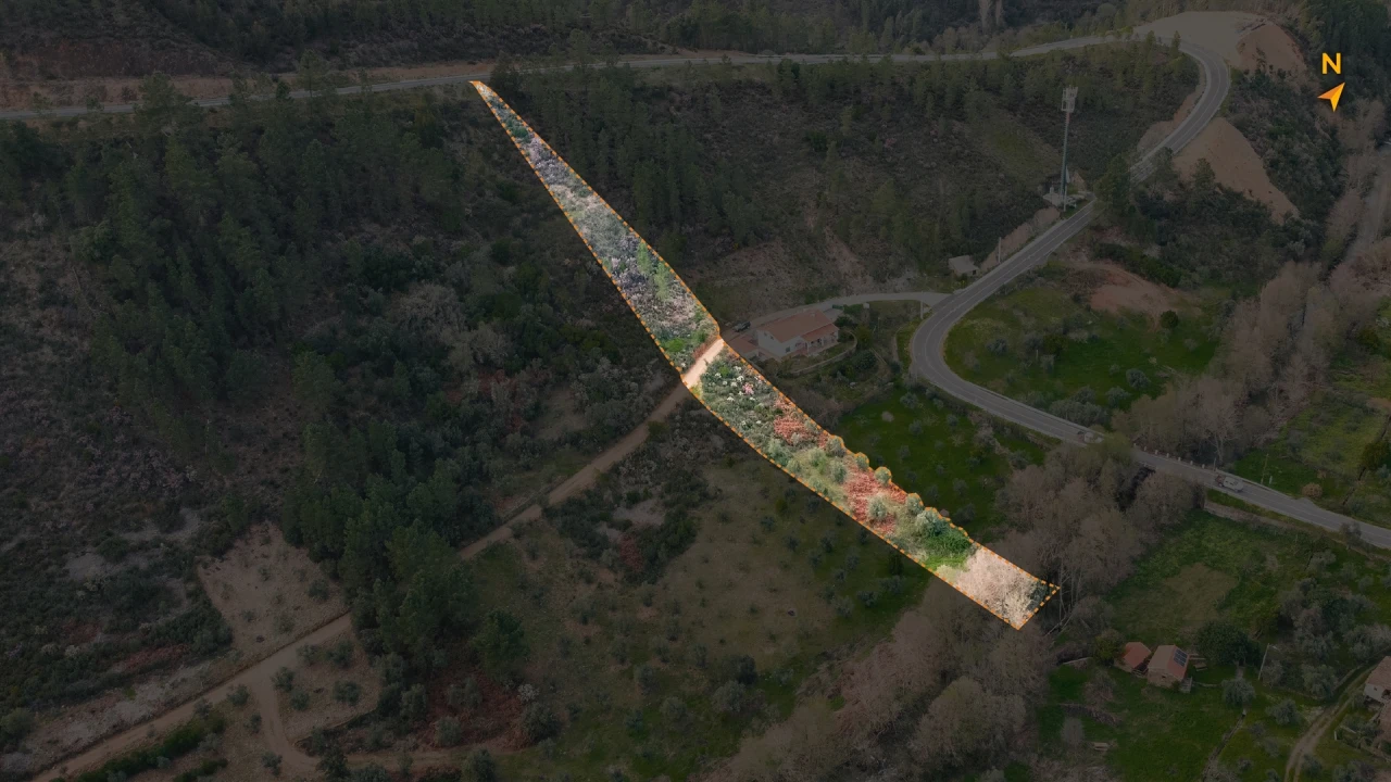 Terreno Agricola ou Rústico para Venda em Sarzedas Foto 5