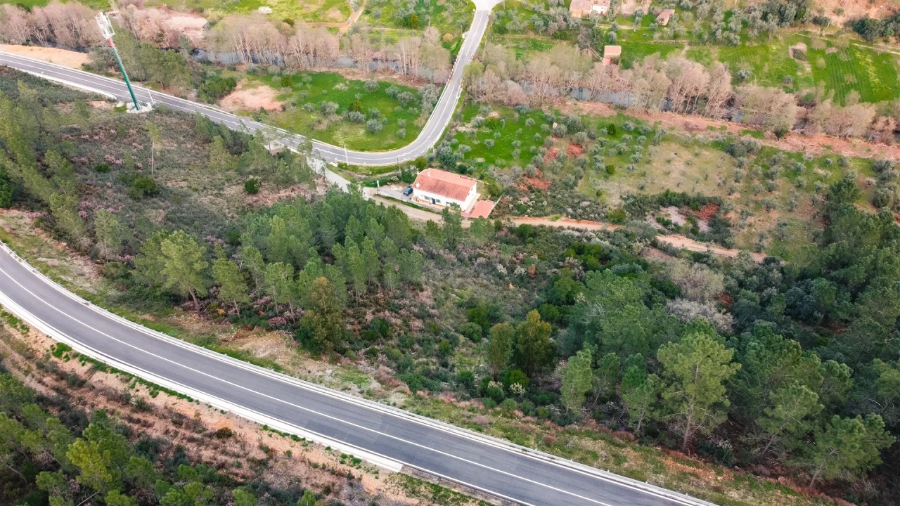 Terreno Agricola ou Rústico para Venda em Sarzedas Foto 9