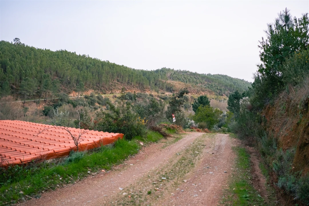 Terreno Agricola ou Rústico para Venda em Sarzedas Foto 10