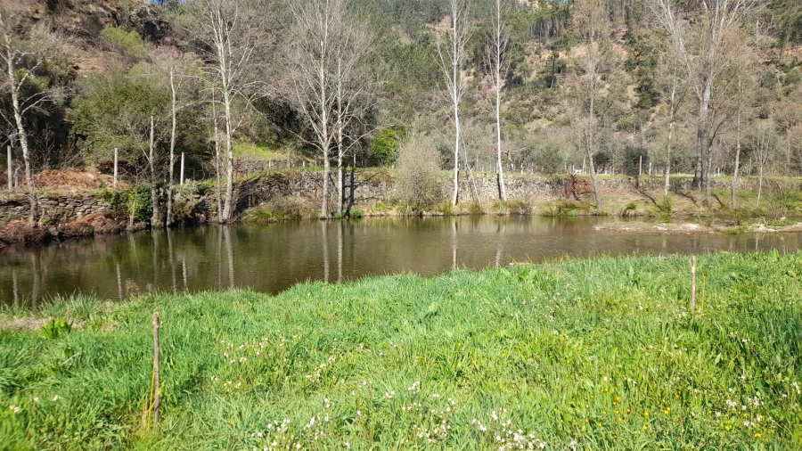 Terreno Agricola ou Rústico para Venda em Sarzedas Foto 4
