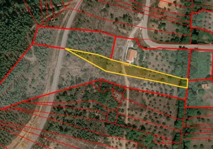 Terreno Agricola ou Rústico para Venda em Sarzedas Foto 15