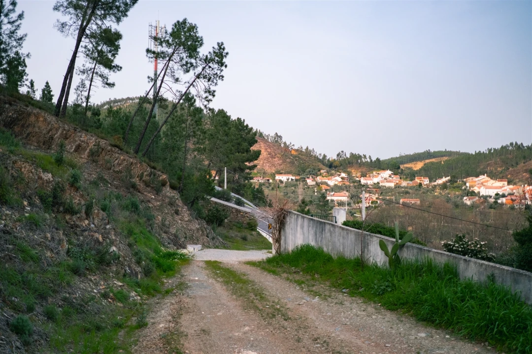 Terreno Agricola ou Rústico para Venda em Sarzedas Foto 11